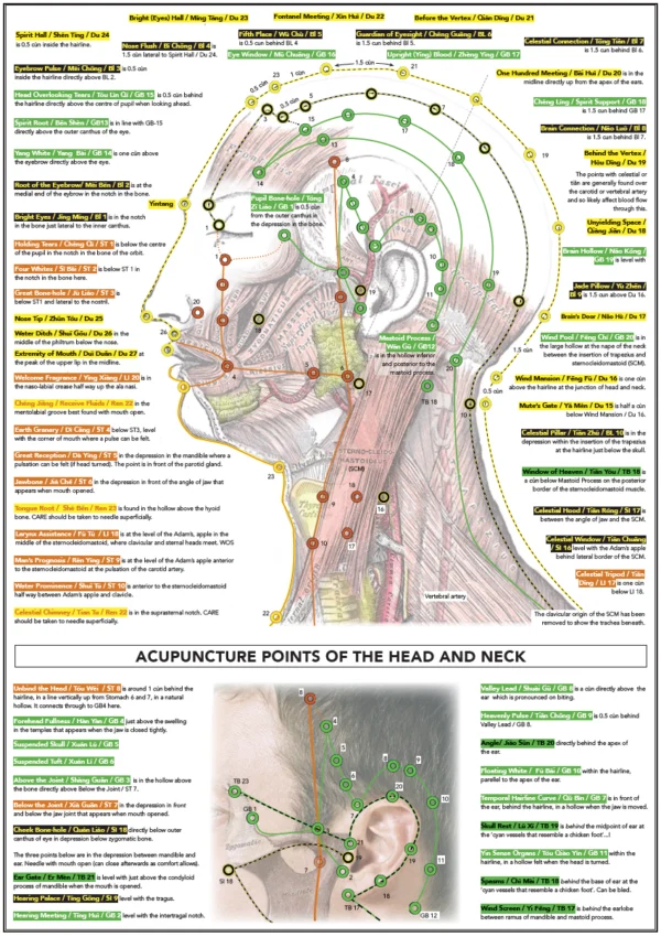 Six Divisions and Head Poster - Image 8