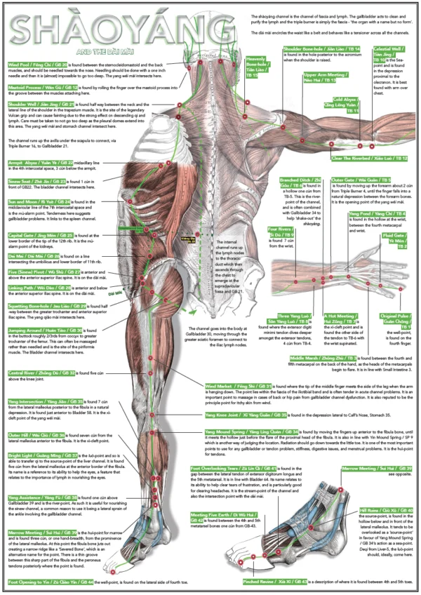 Six Divisions and Head Poster - Image 4
