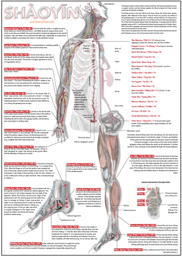 Six Divisions and Head Poster - Image 2