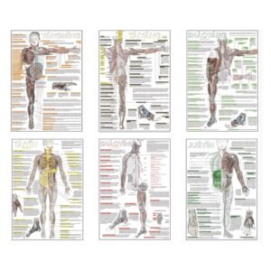 Six Divisions and Head Poster