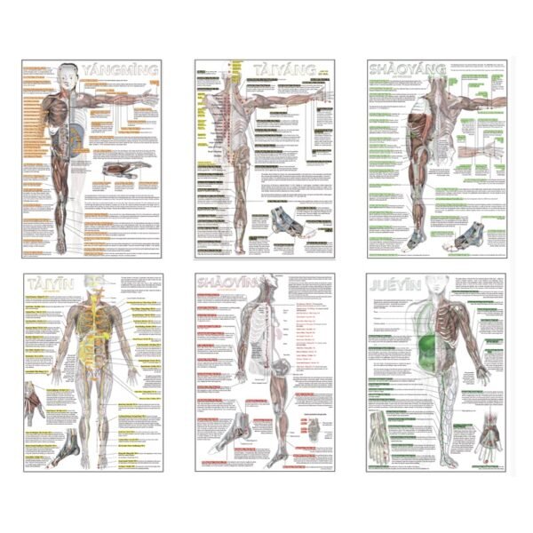 Six Divisions and Head Poster