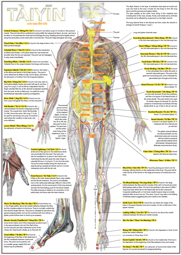 Six Divisions and Head Poster - Image 6