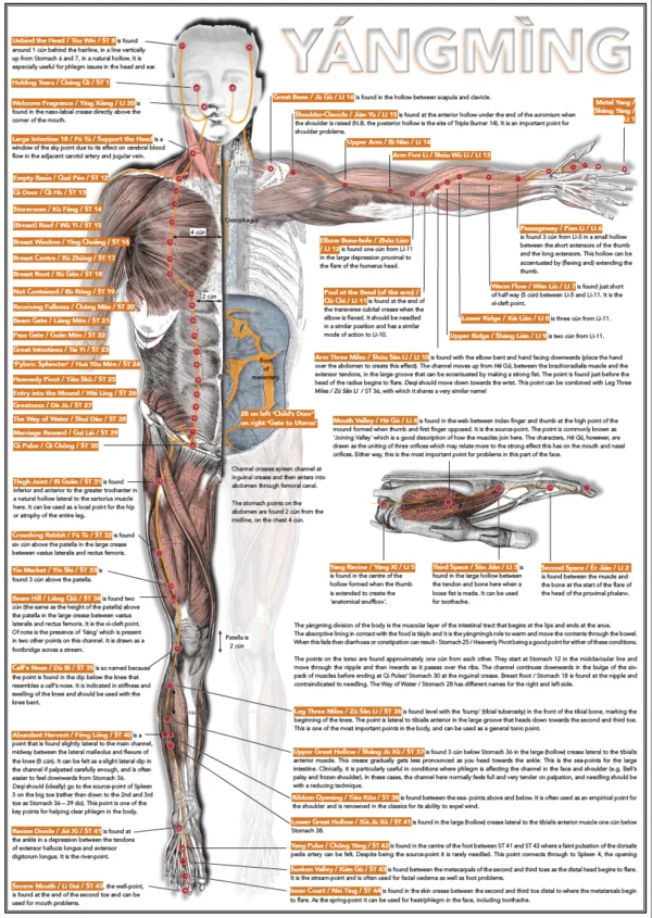 Six Divisions and Head Poster - Image 7