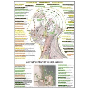 Head Points Poster