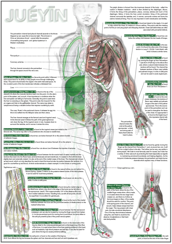 Six Divisions and Head Poster - Image 3
