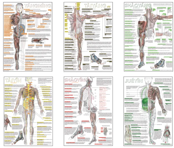 Six Divisions and Head Poster - Image 9